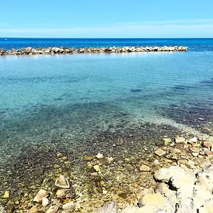Leonarda Trapani
